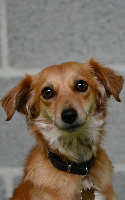 Murphy -